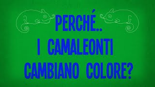 Perché i camaleonti cambiano colore?