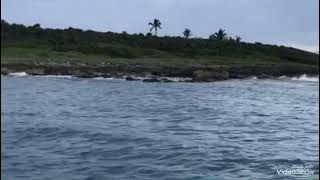 Lobster Hunting at ambergris Caye (Belize)