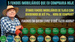 Fiagros e FIIS Em Queda É O Melhor Momento Para Comprar Oi Vender?