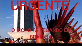 ÍNDIOS - URGENTE BRASÍLIA AGORA