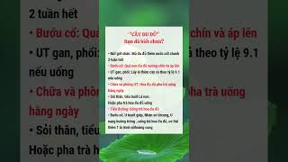 "CÂY ĐU ĐỦ" BẠN ĐÃ BIẾT CHƯA #xuhuong #reels #suckhoe