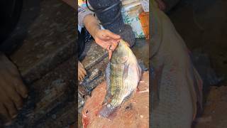 Amazing Tilapia Fish Cutting Skills In Bangladesh Fish Market #shorts