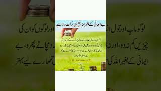 بے ایمانی کے بغیر منافع ہی برکت والا ہے #viral #reelsvideo #reels