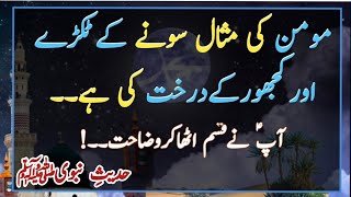 Momin Sone Ka Tokda | Momin Ki Misal | Khajoor Ke Drakhat ki Misal | Hadees | AQH Official