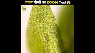 ये चीजें Microscope में अलग ही दिखती है 😱😱#shorts #trending