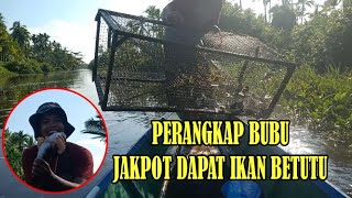 TEKNIK PERANGKAP IKAN, UDANG TRADISIONAL PALING JITU (PERANGKAP BUBU) DAPAT IKAN BETUTU