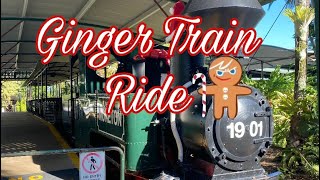 Ginger Factory Train Ride | Best of Queensland Experience