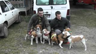 Presentation des beagles  du ron de l'apio lors du brevet de LEYNHAC 2012