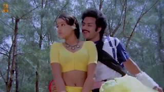 Balakrishna Vijayasanthi Video Song