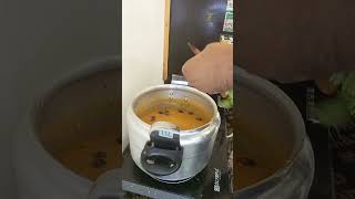 BEST Punjabi Style Dal Recipe!MS food #shorts #viral #food