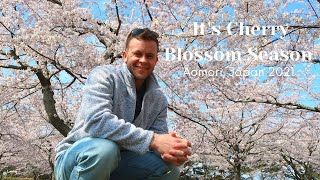 Cherry Blossoms Like You Never Seen | Japan 2021