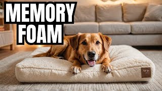 ULTIMATE Memory Foam Dog Bed Review! (2024)