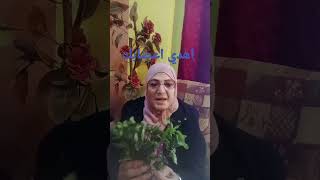 مهدأ للاعصاب