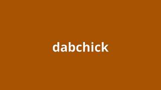 what is the meaning of dabchick