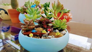 Succulent Terrarium - Quiet - Tiểu Cảnh Sen Đá  - Chủ Đề Yên Tĩnh.