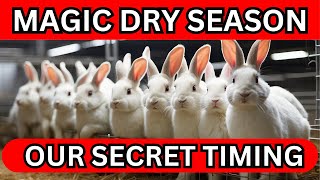 The DRY SEASON is the MAGIC to  building a PROFITABLE rabbit herd