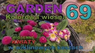 GARDEN DESIGN 69 - Wiosenne kwiaty w gazonach i wiklinowych koszach