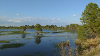 Lake Moultrie West Dike