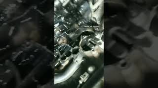 oil cooler damage Volkswagen Polo