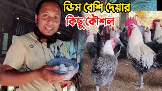 কিভাবে মুরগির ডিমের উৎপাদন বাড়াতে পারেন || Nur Bhai