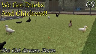 Ducks and Chickens! -  The Old Stream Farm Ep 9 - Farming Simulator 22