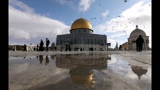 انشودة مميزة ورائعة || فلسطيني وحب القدس 🇵🇸🖤 || بلال الأحمد