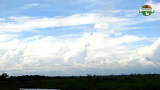 MONSOON OVER KAZIRANGA