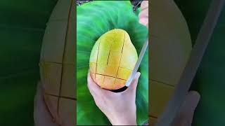 mango slice cutting