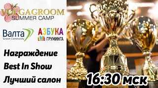 Награждение финалистов!!! Выбор BEST IN SHOW, Лучший салон