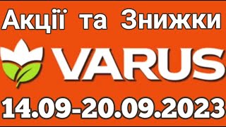 Акції VARUS з 14.09 по 20.09.2023 року #varus #анонсатб #знижкиатб #цінинапродукти #оглядцін