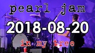 2018-08-20 - Pearl Jam - In my Tree | Rare Song performance | Wrigley Field Chicago