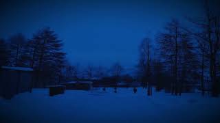 onewave feat. WHXPLXYA - Winter Outside ( slowed + dark ambient )