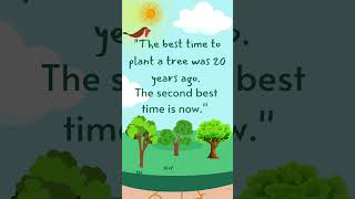 "The best time to plant a tree was 20 years ago. The second best time is now."