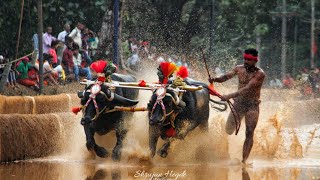 #kambala | ಬಂಟ್ವಾಳ ಕಂಬಳ 2023-24| ನಂದಳಿಕೆ B | ರಾಜ & ಕುಟ್ಟಿ💥🚀