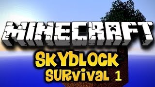 SireSolo plays Skyblock on MineHeroes.net / S 01 Ep. 01