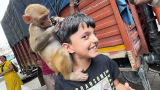 Ye Little Monkey Must hai 😱 | Yaatri