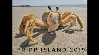 FRIPP ISLAND 2019