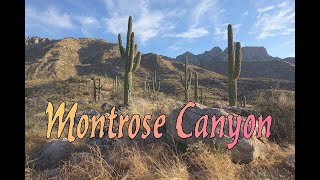 Montrose Canyon