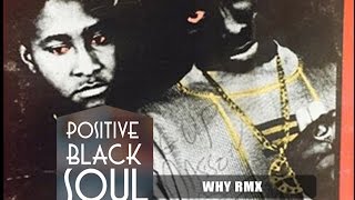 POSITIVE BLACK SOUL - Album WAKH FEIGN - WHY REMIX