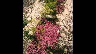 Venterol en Drôme provençale