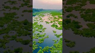 Beautiful Nature Of River||গ্রামের নদীর প্রাকৃতিক সৌন্দর্য👌 #shorts #shahinur #viral #river #village