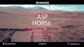 ASP horse riding club