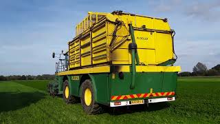 two  ploeger harvesters cutting parsley, in suffolk