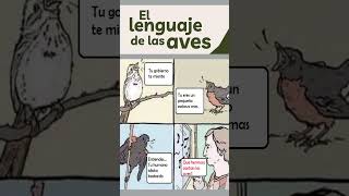 Descifrando el cantar de las aves