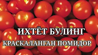 ИХТИЁТ БУЛИНГ КРАСКАЛАНГАН ПОМИДОР