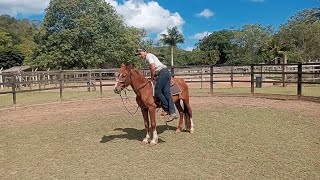 Duas maneiras de descer com segurança do cavalo