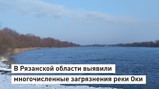 В Рязанской области выявили многочисленные загрязнения реки Оки со стороны промышленных предприятий.