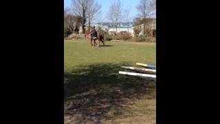 Aimee 1st Horse riding lesson