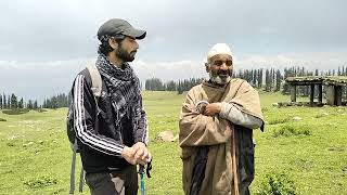 Kashmir shepherd.