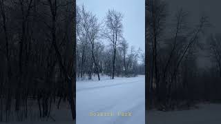 Morning Frost at Selkirk Park Manitoba Canada